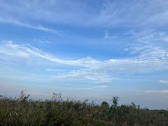 -盐城丹顶鹤湿地生态旅游区