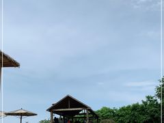 -青岛森林野生动物世界