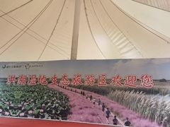 -洪湖湿地生态园