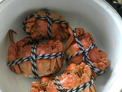 -黄记大闸蟹专卖店·活蟹·醉蟹