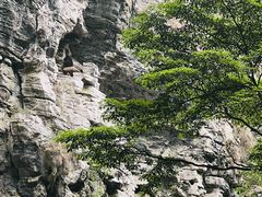 -狮子关旅游区