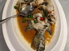 -顺德了能馆(虎门店)