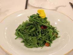 清炒鸡毛菜-汇贤府·李氏鲁菜(五棵松店)