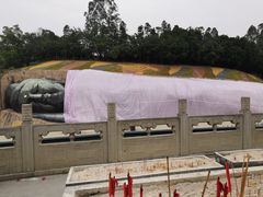 -三水森林公园