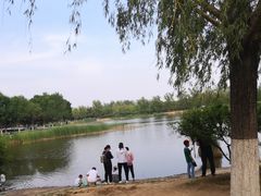 -永定河休闲森林公园