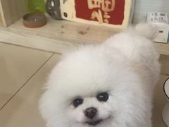 -宠颐生宠物医院·骨外科·犬猫全科诊疗中心(池州店)