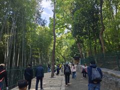 -灵岩山风景区