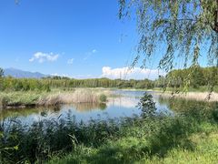 -野鸭湖国家湿地公园