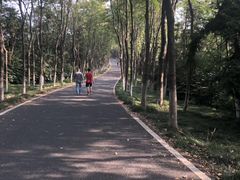 -宜兴龙背山森林公园