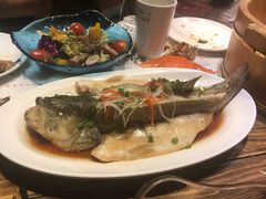 -胡桃里音乐酒馆(石家庄店)