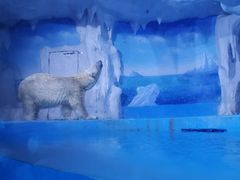 -多彩贵州城极地海洋世界