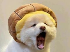 -宜宾燃面(汉渝路店)