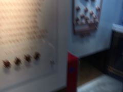 -KOI Thé(正佳广场店)