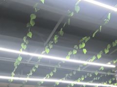-云南印象昭通天麻火腿鸡(新疆石油花园二期店)