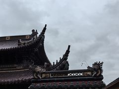 -紫竹林