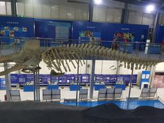 -上海海洋大学鱼文化博物馆(军工路校区)