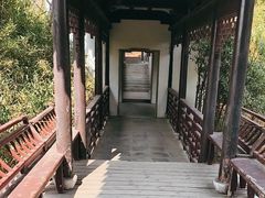 -八大山人梅湖景区