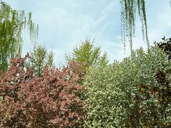 -元大都城垣遗址公园