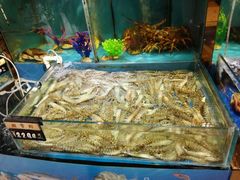 -金鹰超市(国际购物中心新街口店)