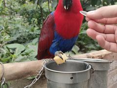 -南宫五洲植物乐园