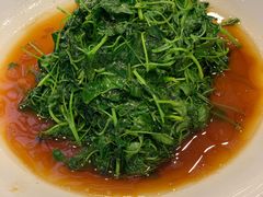 炒豆苗-沧盛饮食店(临汾路店)