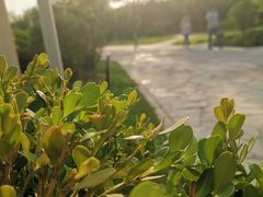 -燕郊植物园