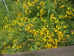 -长春公园(普阳街道)