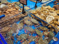 -鲜得莱渔港·小平岛海胆馆(七贤岭店)