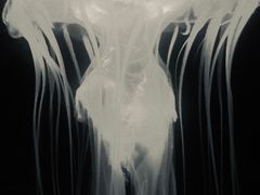 -哈尔滨波塞冬海底世界