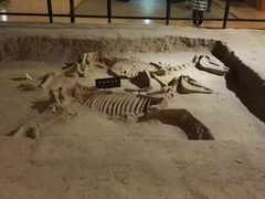 -洛阳周王城天子驾六博物馆