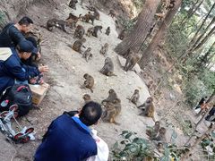 -黔灵山公园-南门售票处