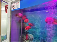 -雅悦齿科(顾村公园店)