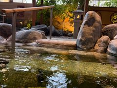-大江户·温泉洗浴(浑南店)