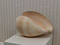 -青岛贝壳博物馆
