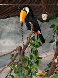 -Zoolung Zoolung动物主题公园(海信广场店)