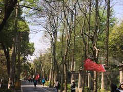 -上海佘山国家森林公园西佘山园