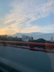 -复旦大学附属妇产科医院(黄浦院区)