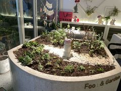 -春树下·树屋花房西餐厅(罍街AS1980店)