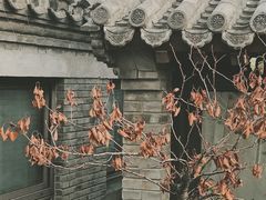 -糖房咖啡(南锣鼓巷店)