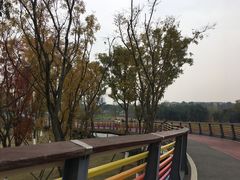-府河摄影公园