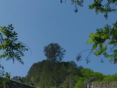 -沣峪口