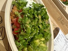 -油梨树 AVOCADO TREE(亮马桥店)