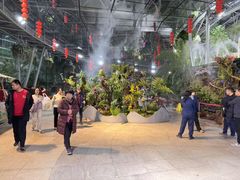 -北京植物园-展览温室