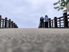 -西山漾湿地公园