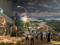 -自贡恐龙博物馆