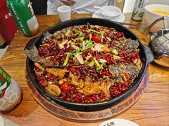 -老板恋上鱼(印象城店)