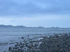 -阿弟特色海鲜餐厅·大排档(平潭店)