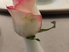 -虹御轩·传承江浙菜(虹桥店)