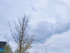 -南昌之星摩天轮