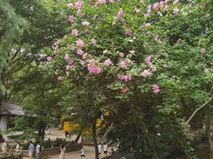 -虞山风景区